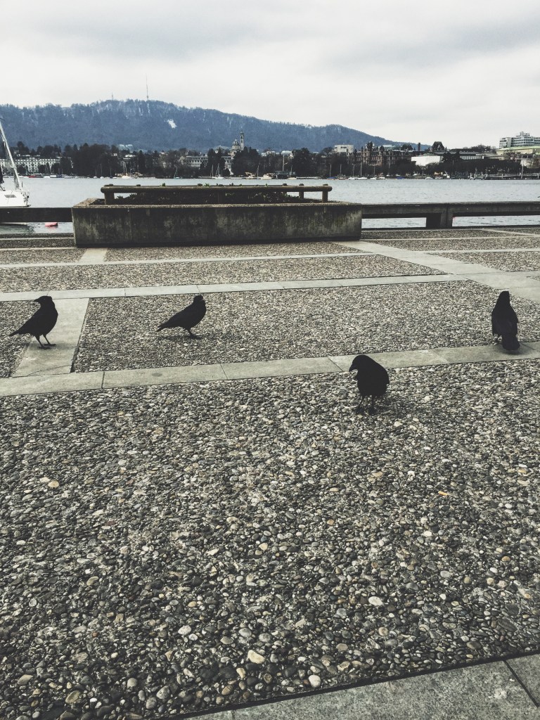 Processed with VSCOcam with t1 preset